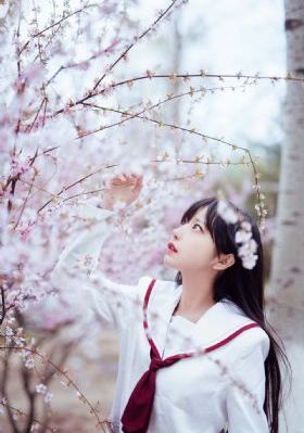 91视频十八_1080P高清在线观看